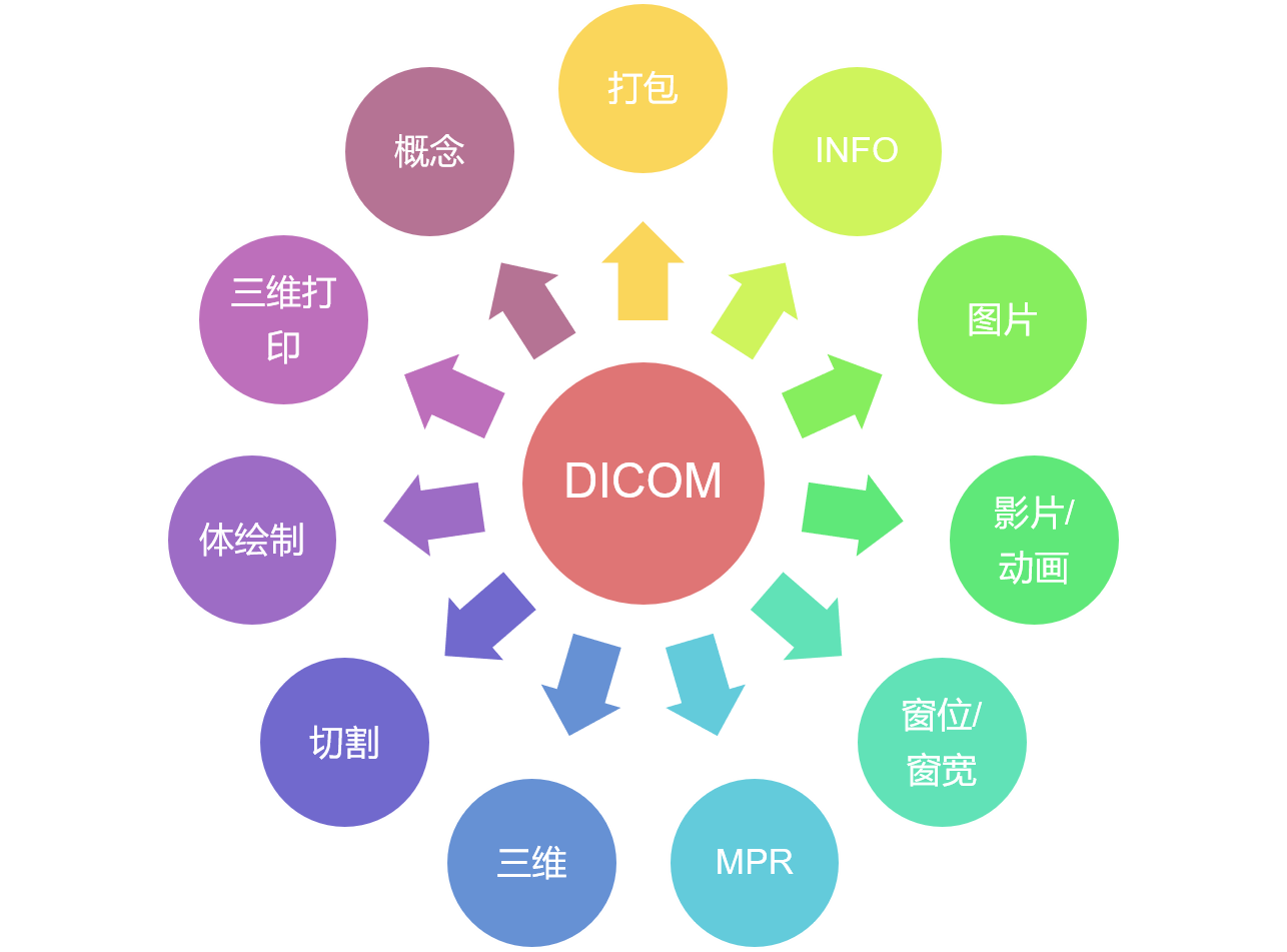 神经影像后处理入门-准备资料